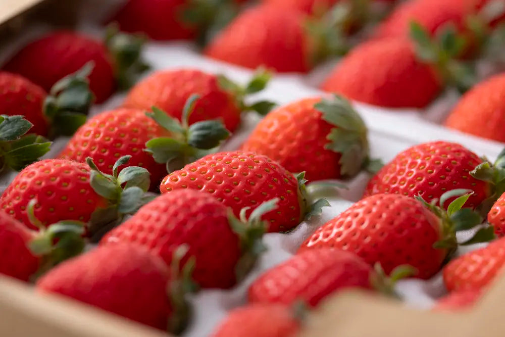 苺の生デコレーションケーキ