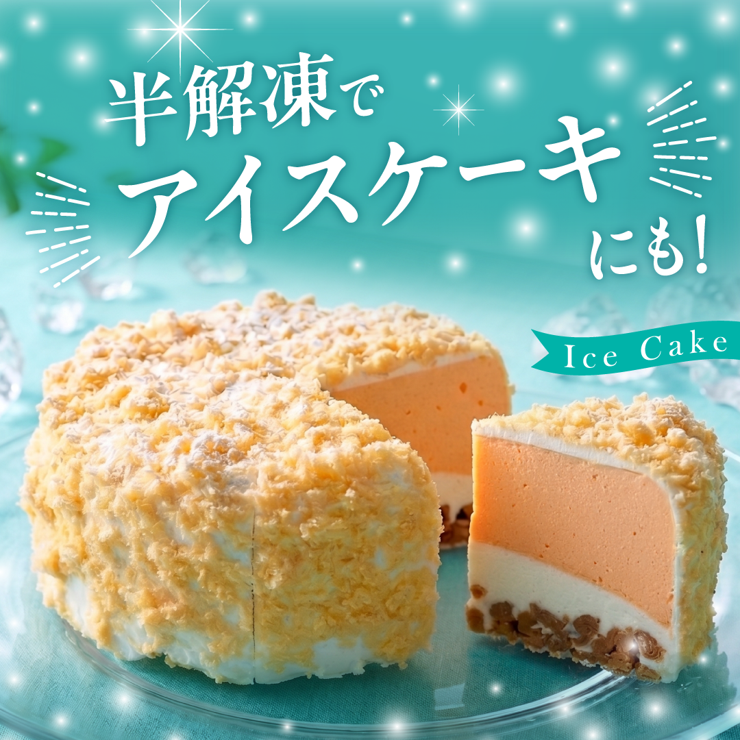 飯沼本家　熟成酒粕　発酵プレミアムチーズケーキ